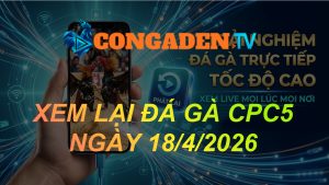 XEM LẠI ĐÁ GÀ CPC5 NGÀY 18/4/26